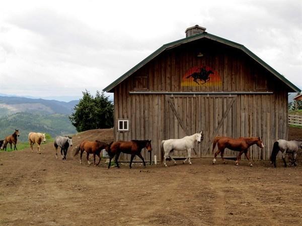 Bull Hill Guest Ranch Hotel Marble Екстериор снимка