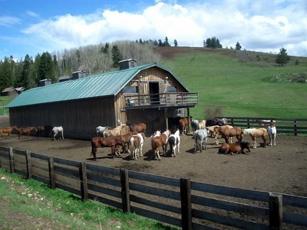 Bull Hill Guest Ranch Hotel Marble Екстериор снимка
